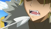 Sting se come la flecha