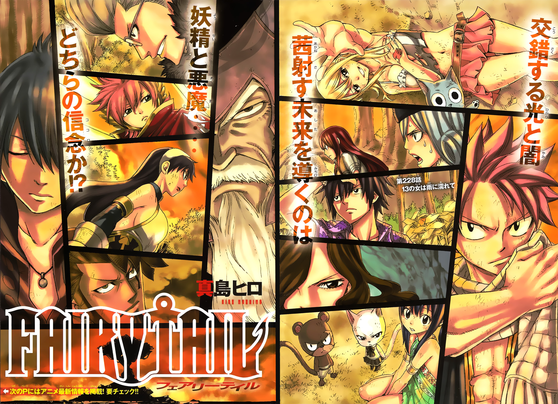 Chapter 228 | Fairy Tail Wiki | Fandom