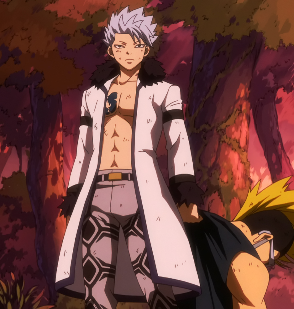 Oracion Seis Arc Fairy Tail Wiki Fandom