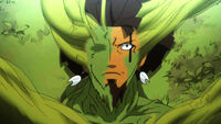 Effect of Great Tree Arc