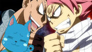 Gajeel and Natsu fighting about their cats