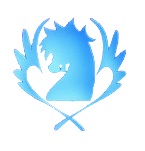 Blue Pegasus Fairytail2k12 Wiki Fandom Blue Pegasus Fairytail2k12 Wiki Fandom