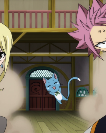 Nalu Fairy Tail Couples Wiki Fandom