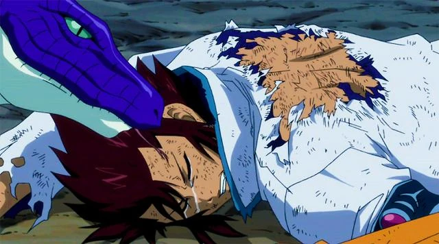 Kinabra Fairy Tail Couples Wiki Fandom