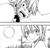 Natsu promising to Lisanna