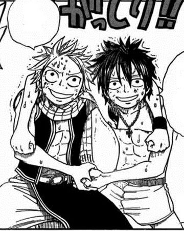 Gray And Natsu Fairy Tail Couples Wiki Fandom