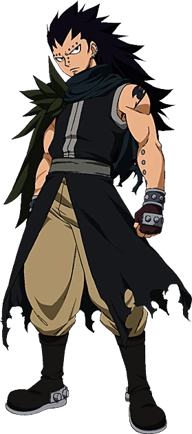 Gajevy | Fairy Tail Couples Wiki | Fandom