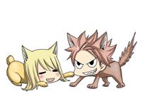 Natsu and Lucy as Cats