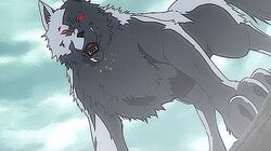 HaydenWolf2(MSE)