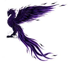 shadow phoenix bird