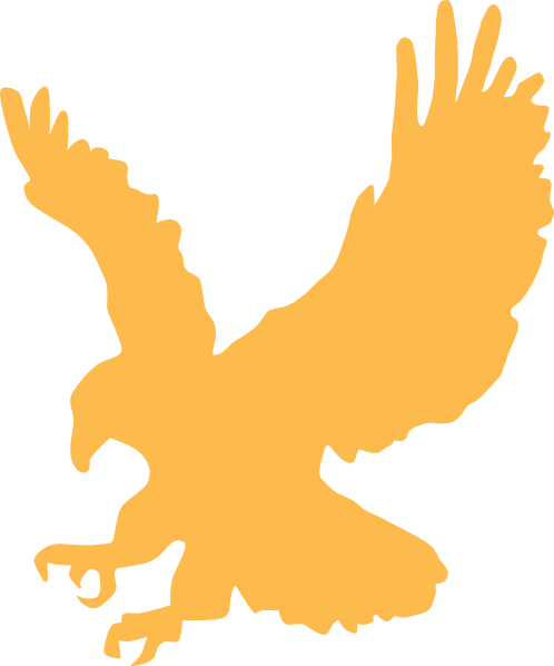 Golden Hawk Fairy Tail Fanon Wiki Fandom