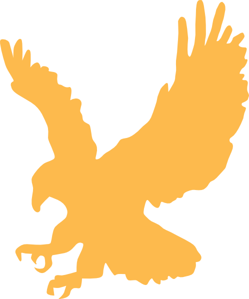 Golden Hawk Fairy Tail Fanon Wiki Fandom Golden Hawk Fairy Tail Fanon Wiki Fandom