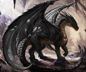 Black-Chinese-Dragon-Wallpaper-HD.jpg