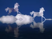 Nuage Animal - Forme Étalons