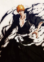 Kurosaki.Ichigo.full