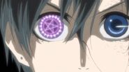 Silver's Hōgyoku Eyes are a pair of a purple circle, a big star in the middle where the pupil is and small looking swords around the ends of the circle