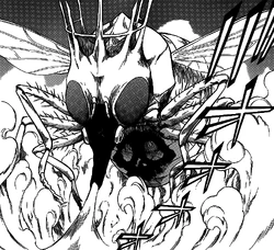 Musca Borealis Fairy Tail Fanon Wiki Fandom