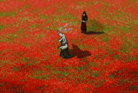 Water Magic - Collect.gif
