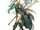 Kaze Ikisatashi