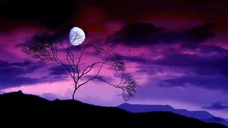 Nuage Coloré - Violet