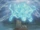 Lightning Spirit Slayer Magic