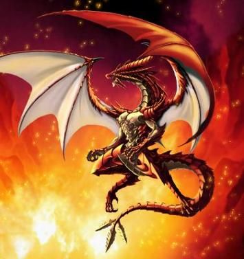 10 Amazing Anime About Dragons That Aren't Dragon Ball