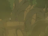 Wood Dragon Slayer Magic