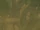 Wood Dragon Slayer Magic