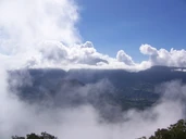 Brume