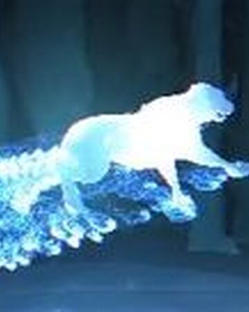 Patronus Charm Fake Harry Potter Wiki Fandom Нападение белого тигра / white tiger attack. patronus charm fake harry potter wiki