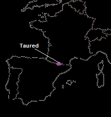 taured