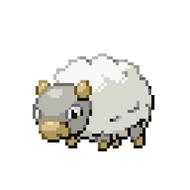 Lamb Pokémon