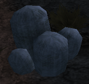 Woolly cactus