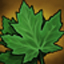 Nature icon263