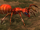 Enemy: Midway Plains Ant Queen