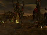 Blood Horde Camp