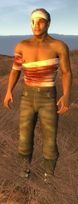 NPC: Dying Traveler | Fallen Earth Wiki | Fandom