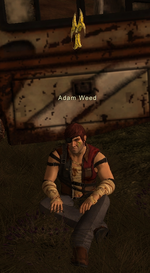 Adam weed