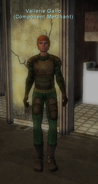 Component: (Haietta) | Fallen Earth Wiki | Fandom