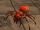 Enemy: Red Ant