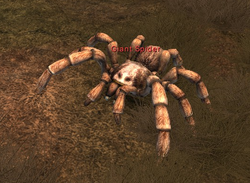 Enemy: Giant Spider, Fallen Earth Wiki