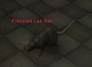 Enemy: Frenzied Lab Rat | Fallen Earth Wiki | Fandom