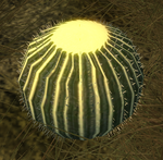 Water cactus