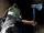 Hatchet