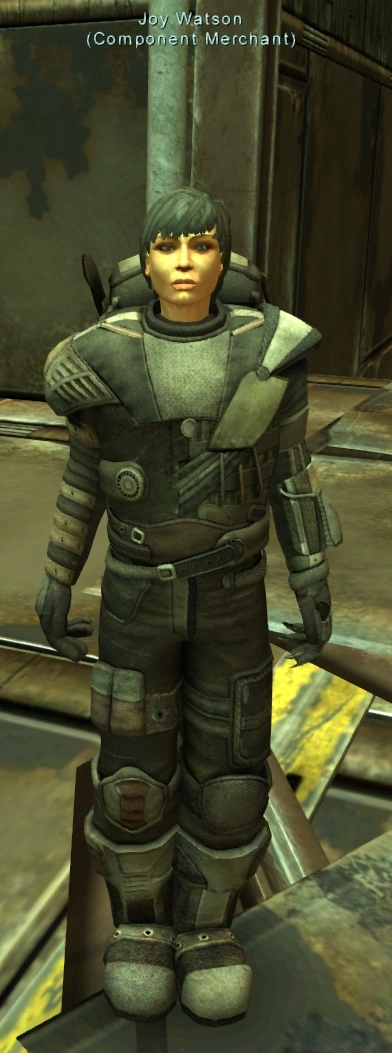 Component: Joy Watson | Fallen Earth Wiki | Fandom