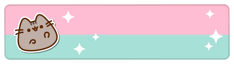 Banner Team Pusheen