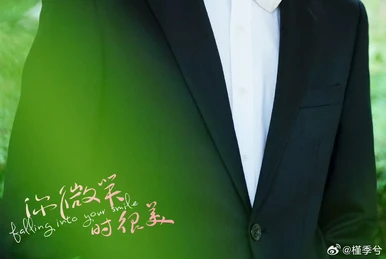 Ai Jia | Falling Into Your Smile Wiki | Fandom
