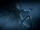 Skitter Harnesser 1