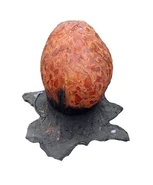 Hatchlingsbts.jpg (40 KB) Behind the Scenes