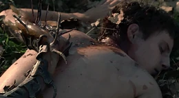 A Harness taken off by force.